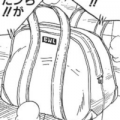A duffel bag containing Mister Satan's breakable tiles from Chapter 396.