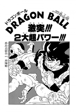 Dragon Ball Chapter 311 (Tankōbon)