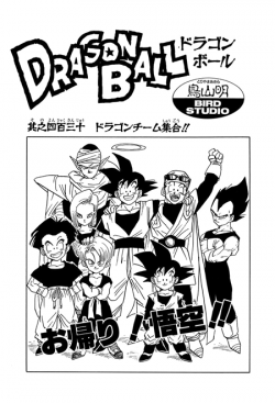 Dragon Ball Chapter 430 (Tankōbon)