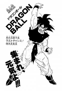 Dragon Ball Chapter 315 (Tankōbon)