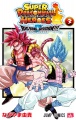 Thumbnail for version as of 15:40, 17 March 2022