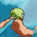 An unknown fighter