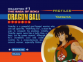 Character Profiles: Yamcha.