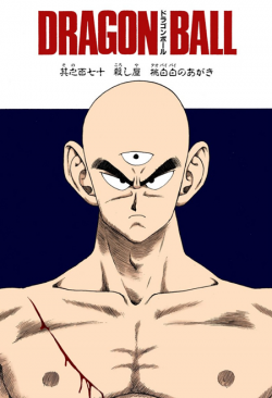 Dragon Ball Chapter 170 (Full Color)