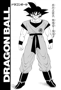 Dragon Ball Chapter 306 (Kanzenban)