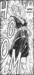 Vegerot (Viz)