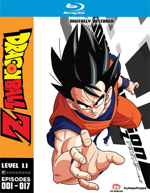 level11_resized