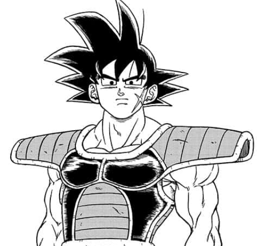 Tidbits The History of Bardock